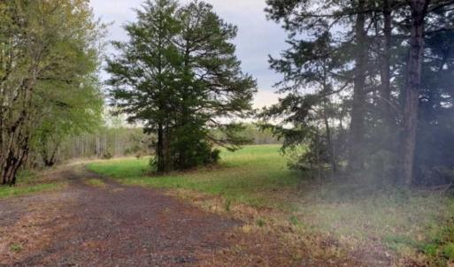 Photo of 100 Acres of Hunting Land For Sale in Halifax County VA!