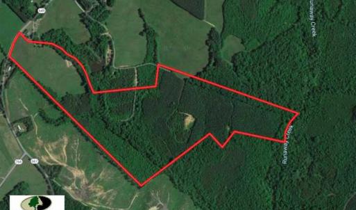 Photo of 100 Acres of Hunting Land For Sale in Halifax County VA!