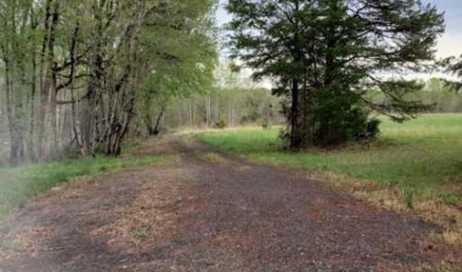 Photo of 100 Acres of Hunting Land For Sale in Halifax County VA!