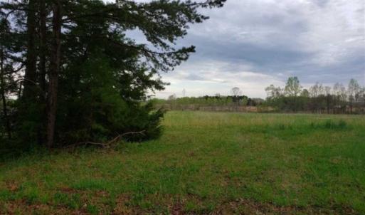 Photo of 100 Acres of Hunting Land For Sale in Halifax County VA!