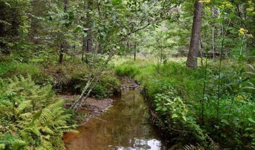 Photo of SOLD!!  7.5 Acres of Residential and Hunting Land For Sale in Amherst County VA!
