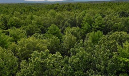 Photo of SOLD!!  7.5 Acres of Residential and Hunting Land For Sale in Amherst County VA!
