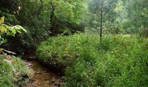 Photo of SOLD!!  7.5 Acres of Residential and Hunting Land For Sale in Amherst County VA!