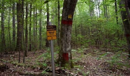 Photo of SOLD!!  7.5 Acres of Residential and Hunting Land For Sale in Amherst County VA!