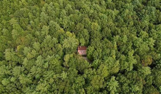 Photo of SOLD!!  7.5 Acres of Residential and Hunting Land For Sale in Amherst County VA!