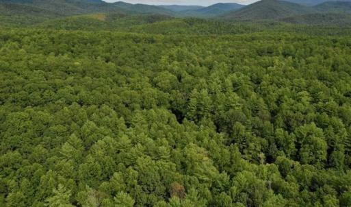 Photo of SOLD!!  7.5 Acres of Residential and Hunting Land For Sale in Amherst County VA!