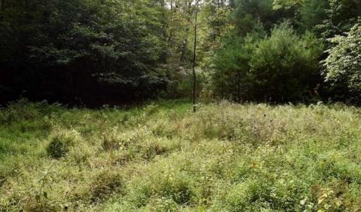 Photo of SOLD!!  7.5 Acres of Residential and Hunting Land For Sale in Amherst County VA!