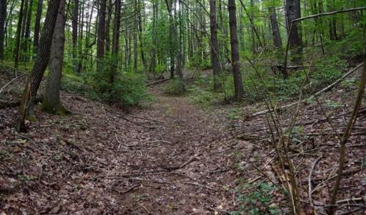Photo of SOLD!!  7.5 Acres of Residential and Hunting Land For Sale in Amherst County VA!