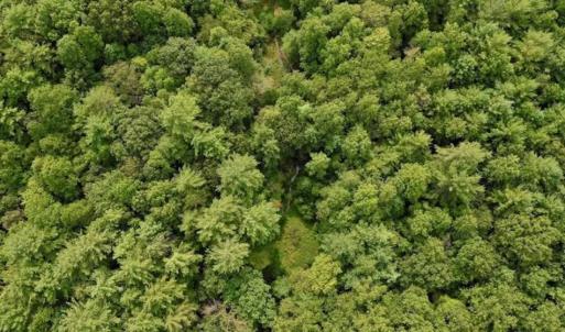 Photo of SOLD!!  7.5 Acres of Residential and Hunting Land For Sale in Amherst County VA!