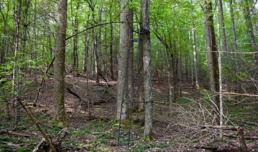 Photo of SOLD!!  7.5 Acres of Residential and Hunting Land For Sale in Amherst County VA!