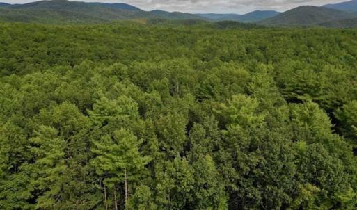Photo of SOLD!!  7.5 Acres of Residential and Hunting Land For Sale in Amherst County VA!