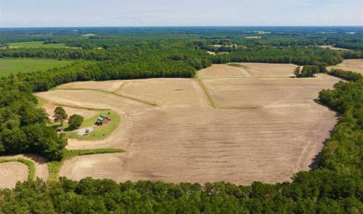 Photo of SOLD!! 85 Acres of Farm and Timber Land with Cabin and Pond For Sale in Edgecombe County NC!