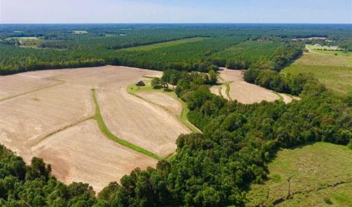 Photo of SOLD!! 85 Acres of Farm and Timber Land with Cabin and Pond For Sale in Edgecombe County NC!