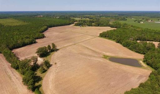 Photo of SOLD!! 85 Acres of Farm and Timber Land with Cabin and Pond For Sale in Edgecombe County NC!