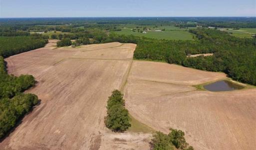 Photo of SOLD!! 85 Acres of Farm and Timber Land with Cabin and Pond For Sale in Edgecombe County NC!