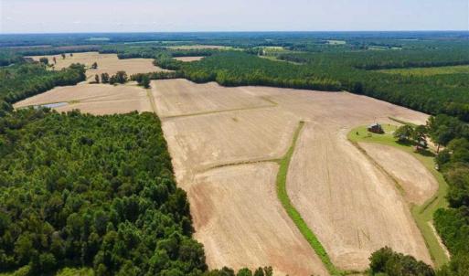 Photo of SOLD!! 85 Acres of Farm and Timber Land with Cabin and Pond For Sale in Edgecombe County NC!
