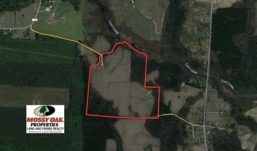 Photo of SOLD!! 85 Acres of Farm and Timber Land with Cabin and Pond For Sale in Edgecombe County NC!
