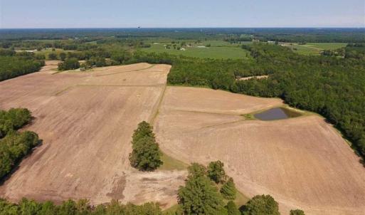 Photo of SOLD!! 85 Acres of Farm and Timber Land with Cabin and Pond For Sale in Edgecombe County NC!