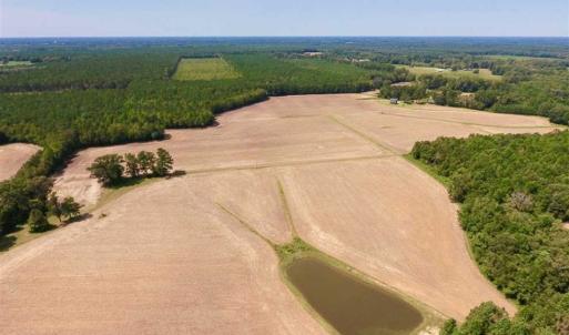 Photo of SOLD!! 85 Acres of Farm and Timber Land with Cabin and Pond For Sale in Edgecombe County NC!