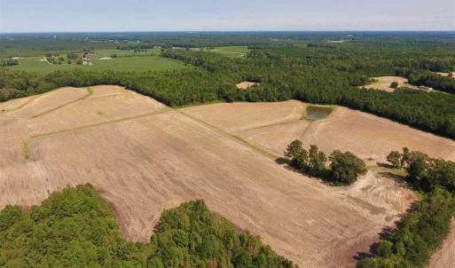 Photo of SOLD!! 85 Acres of Farm and Timber Land with Cabin and Pond For Sale in Edgecombe County NC!