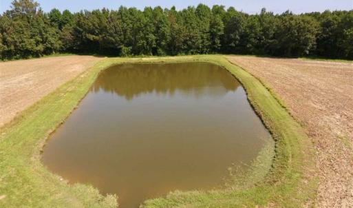 Photo of SOLD!! 85 Acres of Farm and Timber Land with Cabin and Pond For Sale in Edgecombe County NC!