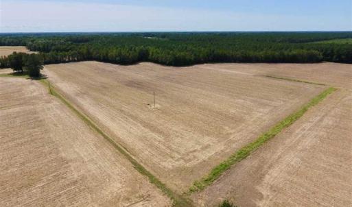 Photo of SOLD!! 85 Acres of Farm and Timber Land with Cabin and Pond For Sale in Edgecombe County NC!