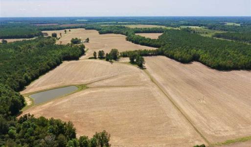 Photo of SOLD!! 85 Acres of Farm and Timber Land with Cabin and Pond For Sale in Edgecombe County NC!