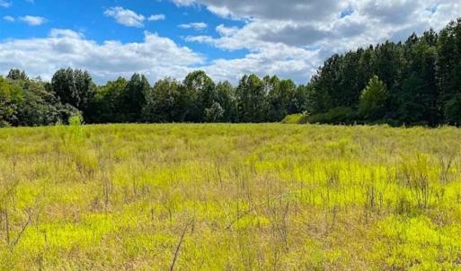 Photo of SOLD!!  34.39 Acres of Farm Land For Sale in Dinwiddie County Virginia!