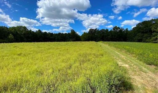 Photo of SOLD!!  34.39 Acres of Farm Land For Sale in Dinwiddie County Virginia!