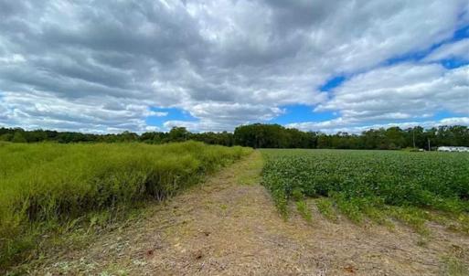 Photo of SOLD!!  34.39 Acres of Farm Land For Sale in Dinwiddie County Virginia!