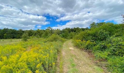 Photo of SOLD!!  34.39 Acres of Farm Land For Sale in Dinwiddie County Virginia!