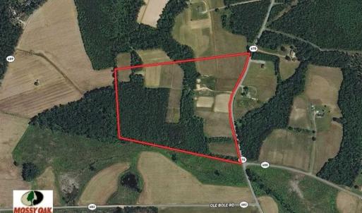 Photo of SOLD!!  34.39 Acres of Farm Land For Sale in Dinwiddie County Virginia!