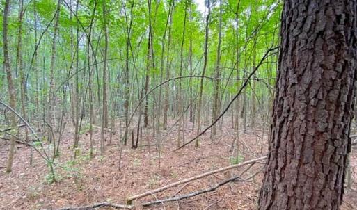 Photo of SOLD!!  34.39 Acres of Farm Land For Sale in Dinwiddie County Virginia!