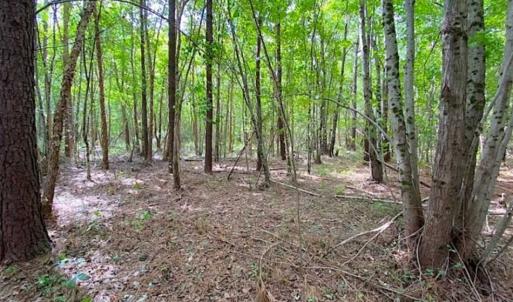 Photo of SOLD!!  34.39 Acres of Farm Land For Sale in Dinwiddie County Virginia!