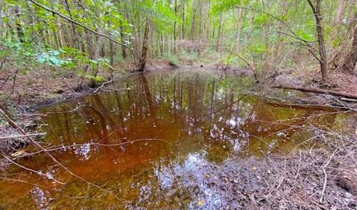 Photo of SOLD!!  34.39 Acres of Farm Land For Sale in Dinwiddie County Virginia!