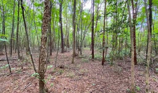 Photo of SOLD!!  34.39 Acres of Farm Land For Sale in Dinwiddie County Virginia!