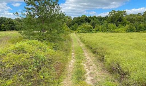 Photo of SOLD!!  34.39 Acres of Farm Land For Sale in Dinwiddie County Virginia!