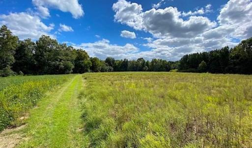 Photo of SOLD!!  34.39 Acres of Farm Land For Sale in Dinwiddie County Virginia!
