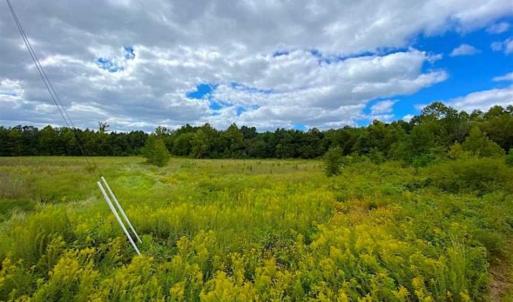 Photo of SOLD!!  34.39 Acres of Farm Land For Sale in Dinwiddie County Virginia!