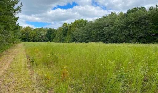 Photo of SOLD!!  34.39 Acres of Farm Land For Sale in Dinwiddie County Virginia!