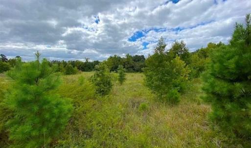 Photo of SOLD!!  34.39 Acres of Farm Land For Sale in Dinwiddie County Virginia!