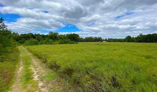Photo of SOLD!!  34.39 Acres of Farm Land For Sale in Dinwiddie County Virginia!