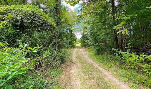 Photo of SOLD!!  34.39 Acres of Farm Land For Sale in Dinwiddie County Virginia!