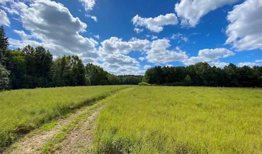 Photo of SOLD!!  34.39 Acres of Farm Land For Sale in Dinwiddie County Virginia!