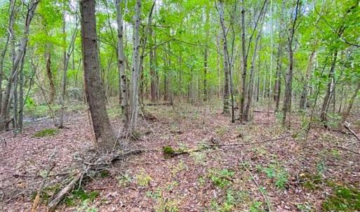 Photo of SOLD!!  34.39 Acres of Farm Land For Sale in Dinwiddie County Virginia!
