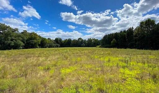 Photo of SOLD!!  34.39 Acres of Farm Land For Sale in Dinwiddie County Virginia!
