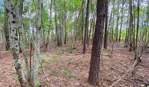 Photo of SOLD!!  34.39 Acres of Farm Land For Sale in Dinwiddie County Virginia!