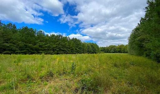 Photo of SOLD!!  34.39 Acres of Farm Land For Sale in Dinwiddie County Virginia!