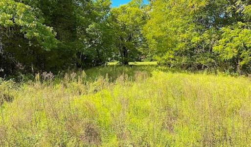 Photo of SOLD!!  34.39 Acres of Farm Land For Sale in Dinwiddie County Virginia!