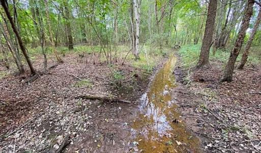 Photo of SOLD!!  34.39 Acres of Farm Land For Sale in Dinwiddie County Virginia!